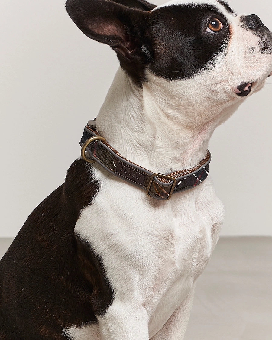 Herre | Best of British | Barbour International | Reflective Tartan Dog Collar Classic