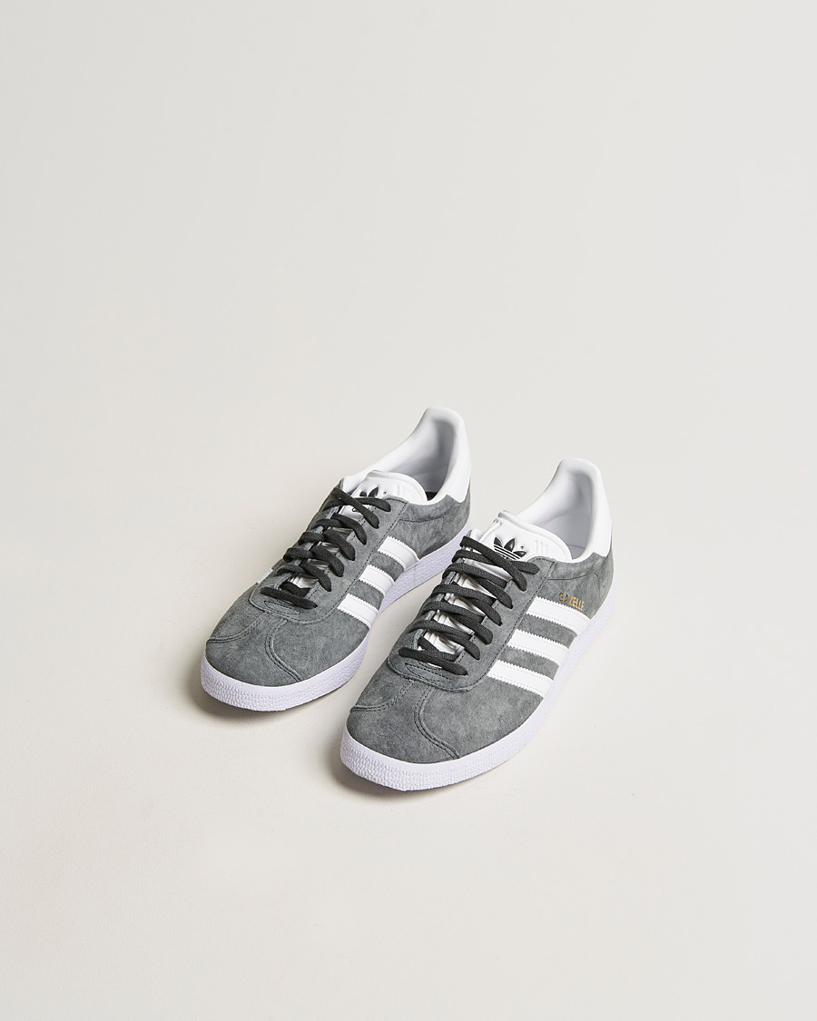 white and grey gazelles